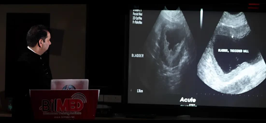 Kidney, Prostate & Bladder Ultrasound Course